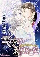 雪夜の秘めごと