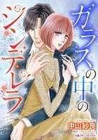 ガラスの中のシンデレラ