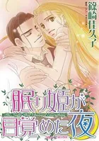 眠り姫が目覚めた夜