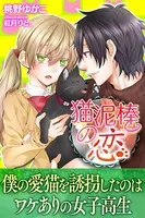 猫泥棒の恋