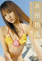 浜田翔子DVD-BOX