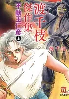 渡千枝傑作集 不動王仁彦