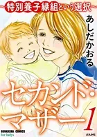 セカンド・マザー〜特別養子縁組という選択〜