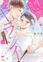 真一郎さんったら結構ヤラシイ！ 生真面目なカレの野獣な本性