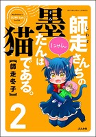 師走さんちの墨たんは猫である。