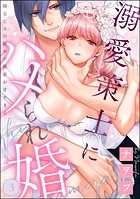 溺愛策士にハメられ婚 幼なじみの秘めた執着が甘すぎる（分冊版） 【第3話】