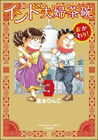 インド夫婦茶碗 おかわり！
