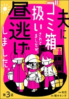 夫にゴミ箱扱いされてましたが、昼逃げしました。（分冊版） 【第3話】