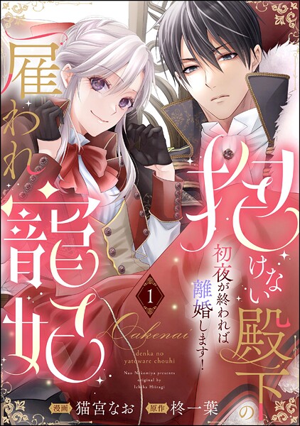 抱けない殿下の雇われ寵妃 初夜が終われば離婚します！（分冊版）（単話）