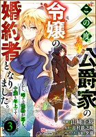 この度、公爵家の令嬢の婚約者となりました。しかし、噂では性格が悪く、十歳も年上です。 コミック版（分冊版） 【第3話】