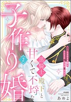黒騎士殿下と甘くて不埒な子作り婚 悪役にされた令嬢はイかされ啼かされ暴かれる （2） 【かきおろし漫画付】