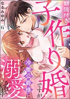 期限付き子作り婚ですが冷徹公爵様になぜか溺愛されています（分冊版）（単話）