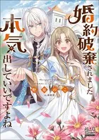 婚約破棄されました 本気出していいですよねシリーズ