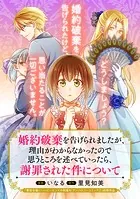 婚約破棄を告げられましたが、理由がわからなかったので思うところを述べていったら、謝罪された件についてシリーズ（単話）