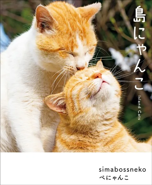 島にゃんこ - simabossneko/ぺにゃんこ - 写真集 - DMMブックス