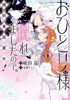ひねくれ騎士とふわふわ姫様 古城暮らしと小さなおうち 3巻（最