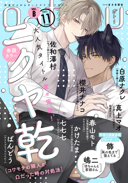 gateau （ガトー） 2025年11月号［雑誌］ ver.B