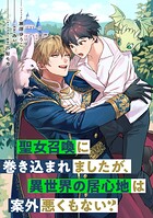 聖女召喚に巻き込まれましたが、異世界の居心地は案外悪くもない？ 【連載版】: 7