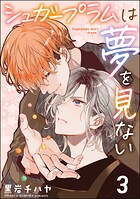 シュガープラムは夢を見ない（分冊版） 【第3話】