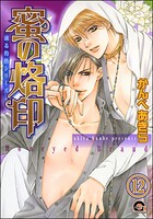 凍る灼熱（分冊版） 【第12話】