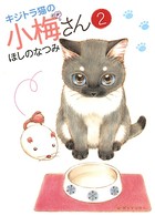 キジトラ猫の小梅さん （2）