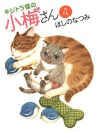 キジトラ猫の小梅さん （4）