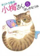 キジトラ猫の小梅さん （5）