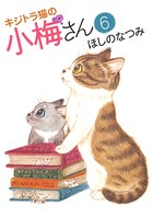 キジトラ猫の小梅さん （6）
