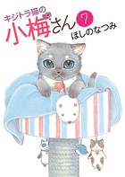 キジトラ猫の小梅さん （7）