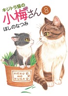キジトラ猫の小梅さん （8）