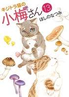 キジトラ猫の小梅さん （13）