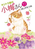 キジトラ猫の小梅さん （17）