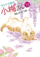 キジトラ猫の小梅さん （19）