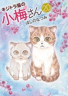 キジトラ猫の小梅さん （20）