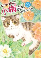 キジトラ猫の小梅さん （21）