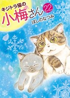 キジトラ猫の小梅さん （22）