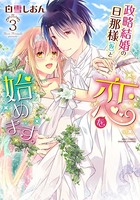 政略結婚の旦那様（仮）と恋を始めます。