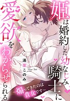 姫は婚約した幼なじみ騎士に愛欲をわからせられる〜煽ってきたのは貴女です〜【単話売】（単話）