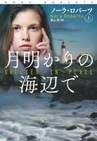 月明かりの海辺で