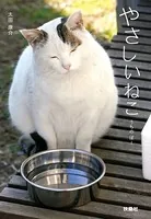 やさしいねこ うちの ぽー
