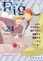 Fig vol.24
