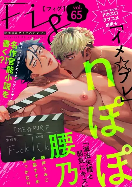Fig vol.65