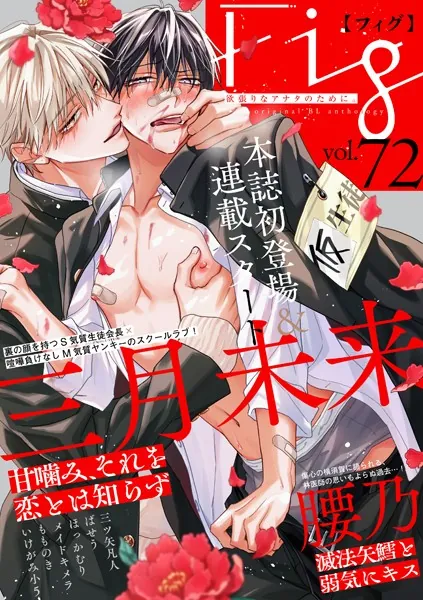 Fig vol.72