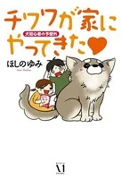 チワワが家にやってきた