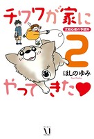 チワワが家にやってきた