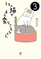 うちの猫がまた変なことしてる。 3