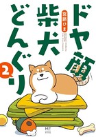ドヤ顔柴犬どんぐり