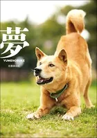 夢-YUMENOSUKE-