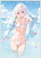 シノビマスター 閃乱カグラ NEW LINK ILLUSTRATIONS BOO（完結