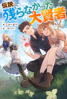 伝説に残らなかった大賢者（ノベル）